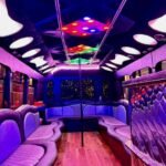 Luxury party limo interior