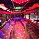 Luxury party limo interior