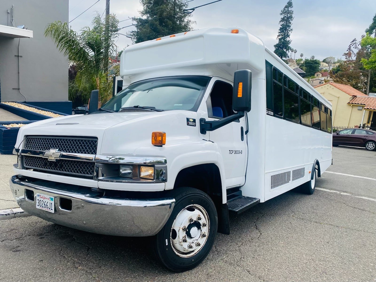 Party limo bus